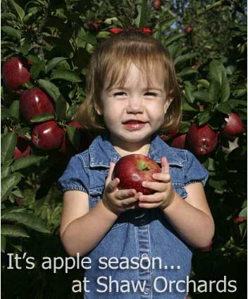Shaw Orchards: Taste of Home