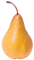 Pear2.gif (47570 bytes)